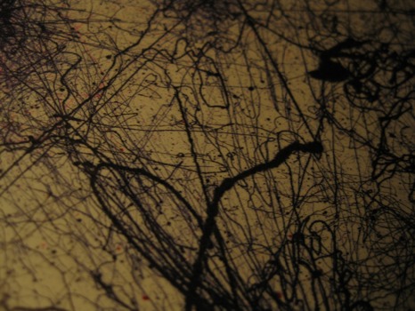 posterbrain -  - IMG6736.jpg