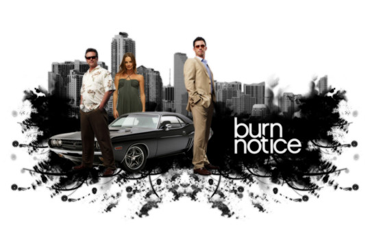 print a poster - Burn Notice Television Series - burn_notice_006wwwTheWallpapersorg.jpg