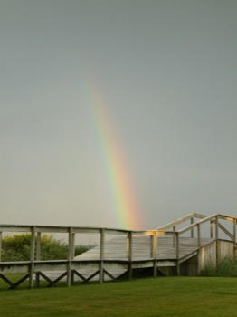 poster-size - Rainbow, Bridge, Green Grass - Houston1007015.jpg