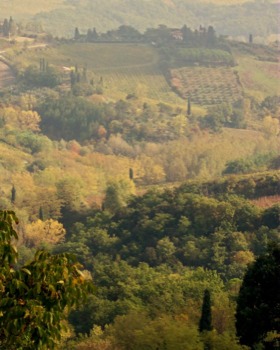 print a poster - Landscape - boniattempt1.jpg