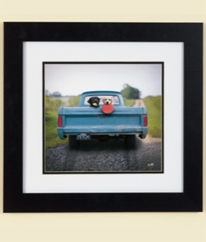 posterbrain - Blue Pickup Truck Dogs Framed Photo - dogphoto1.jpg