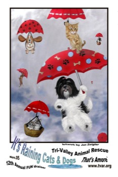 print a poster -  - TVAR24x36Poster.tif