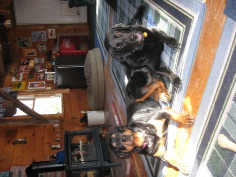 photo posters -  - IMG1778JPG.jpg