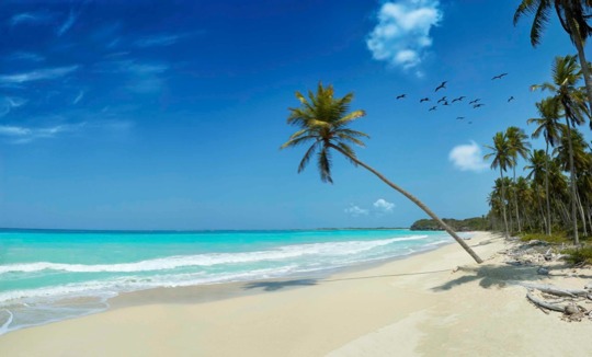 poster - Calm WeATher At The Beach - Tropical20Beachem.jpg