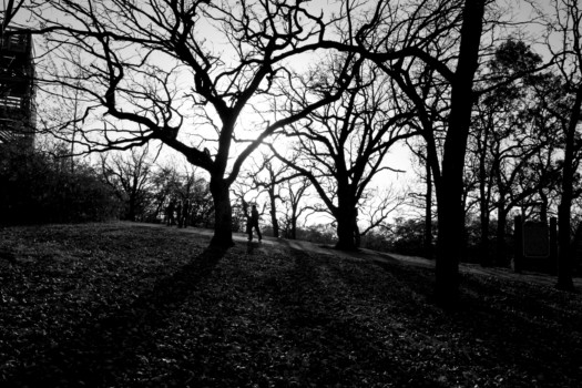poster - Trees - IMG_1672.jpg