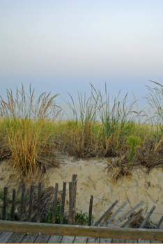print a poster - Long Green Grass - beach.jpg