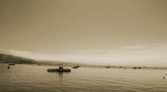 poster brains - Boats On Water - summer_2010_160.jpg