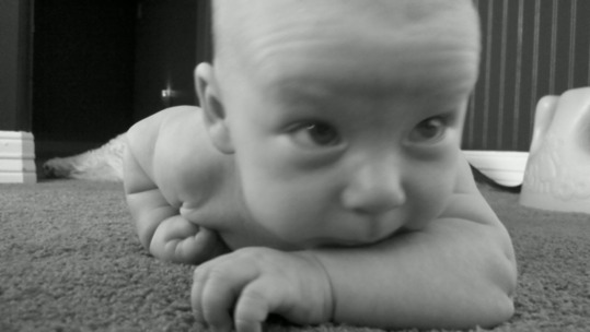 poster brain - Baby Lying Carpet - 20110609184213173.jpg