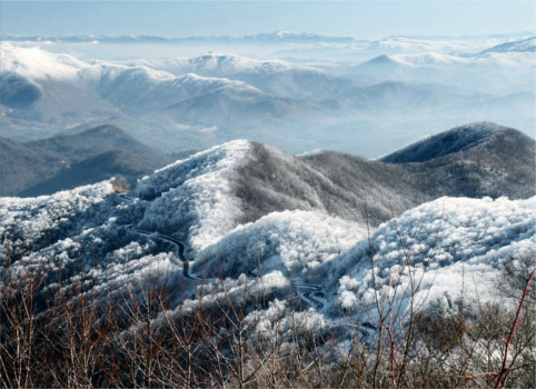 posterbrain - Landscape - IMAGE5.jpg