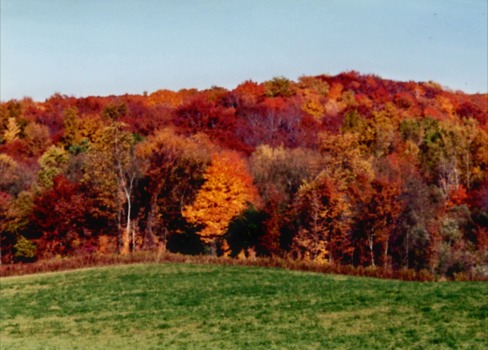 print a poster -  - FallFoliage2.jpg