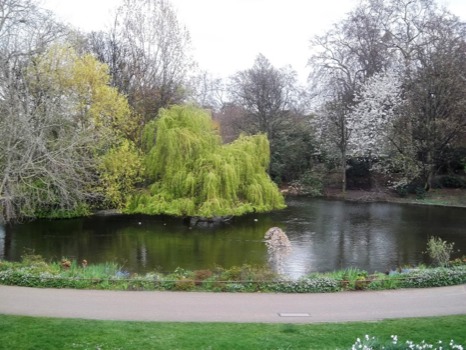 poster - Pond Trees Pathway - 1000115JPG.jpg