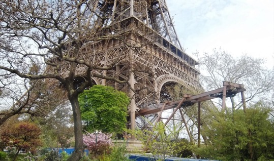 poster - Bottom Of Eiffel Tower - 1000241JPG.jpg