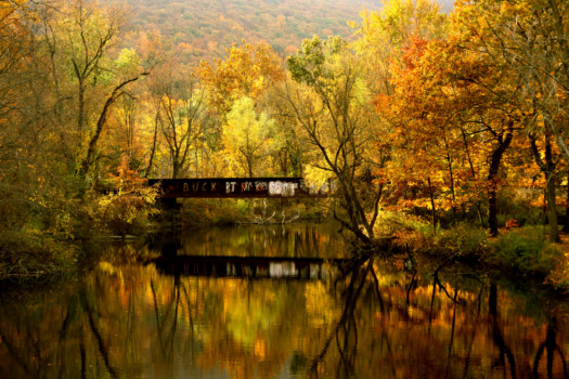 print a poster - Bridge - bridgeny_copy.tif
