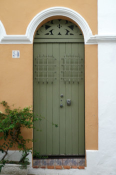 posterbrain - Green Wooden Door - door_4.jpg