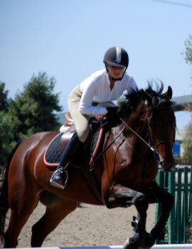 photo - Horse And Rider - DSC_0314.jpg