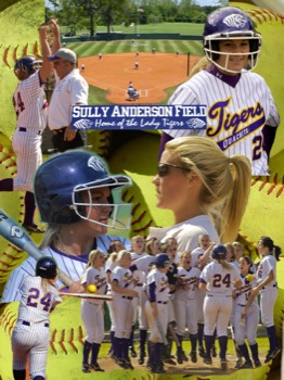 print - Sully Anderson Field - sarah_collage_2.psd
