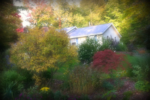 poster photo printing - Painting House Trees - mom1_1.jpg