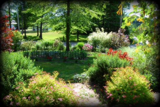 poster photo printing - Yard Trees Grass Bushes - momgardenposter.jpg