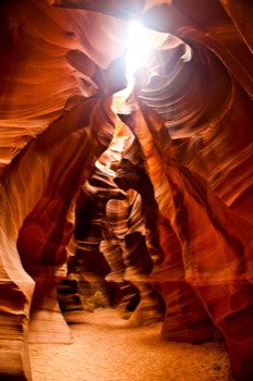 poster brain - Cave Image - AC001.tif