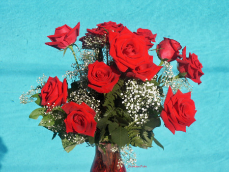 print a poster - Red Roses - MaGrimes_Arose_6_edited_1.tif