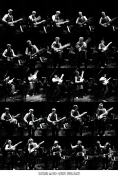 saving 24x36 poster to pdf - Guitar - taylor_muse3.tif