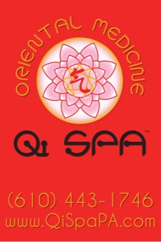 print a poster -  - qispaflagverticalflat.ai
