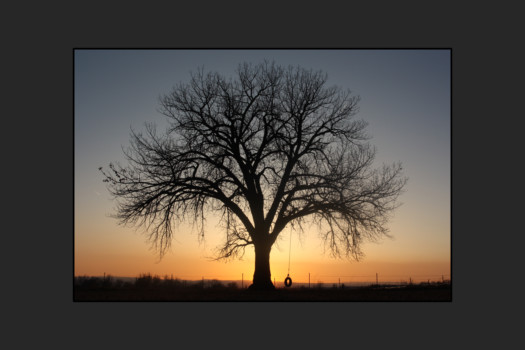 24 - Photograph Of Tree - sunset2final.jpg