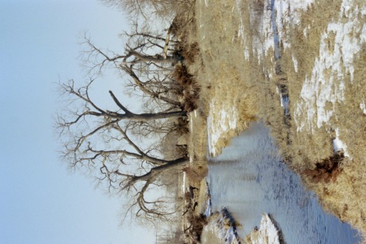print a poster - Landscape River Trees - River_scene_1.jpg