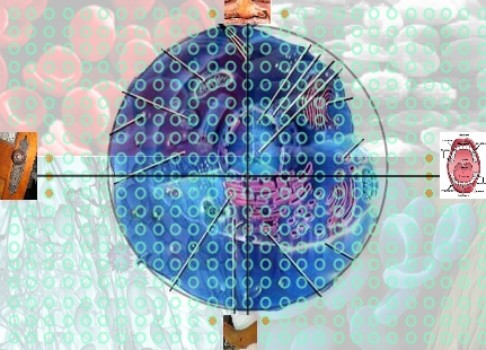 need to make a picture translucent on poster board -  - 6.jpg