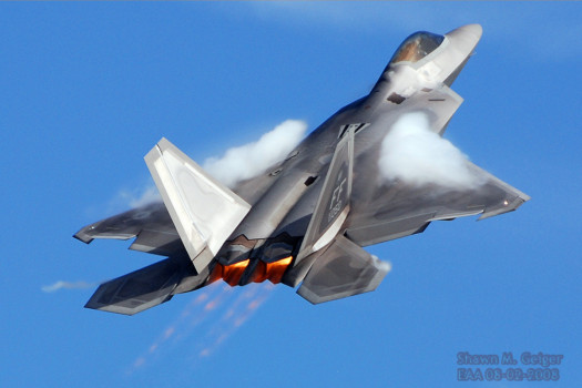 poster brain - Warplane - raptor_1_copy_1.jpg