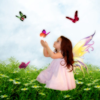 print a poster - Butterflies - Autumnbutterfly.jpg