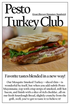 poster brain - Pesto Turkey Club - PestoTurkeyClub20x30Poster.pdf
