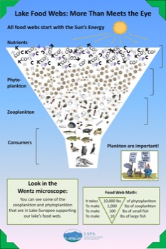 posterbrain - - Wentzbackgroundposter3.gif