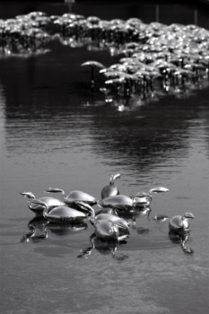 cheap - Ducks - IMG_1477.jpg