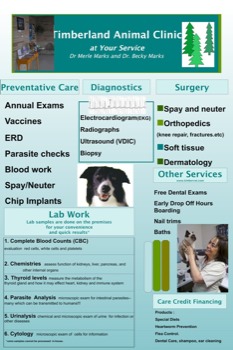 custom posters cheap -  - clinicposterbm.ppt