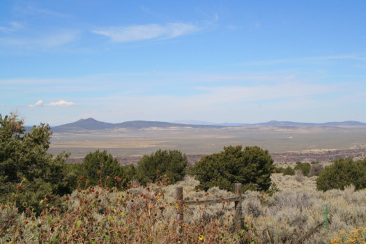 large - Bushes Plains Mountains - f13839263.tif
