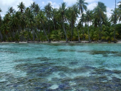 print a poster - Landscape Ocean Palm Trees - tahaaa.jpg