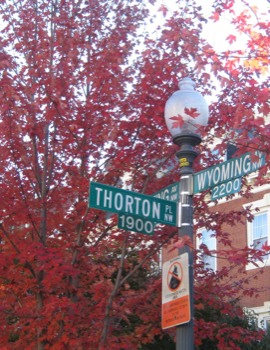 print a poster - Street Light Thorton Wyoming - poster8halfx11.jpg