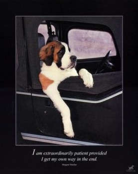 poster makers - Dog - Saint20BernardArt.jpg