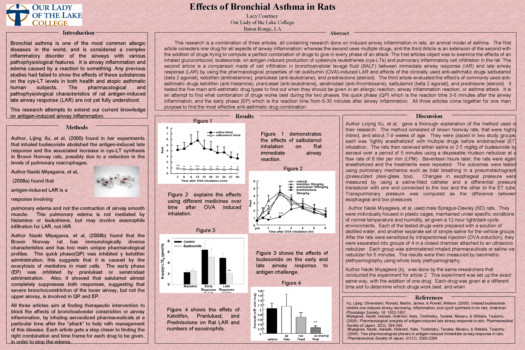 poster brain - Letter - bio3305_poster_project2.tif