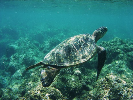 photo -  - 1.jpg