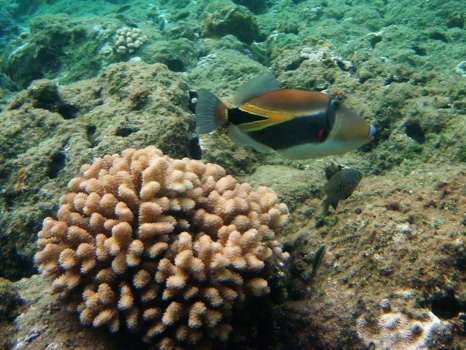 photo -  - 5JPG.jpg