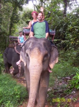 Create a poster -  - Elephant_Picture.jpg