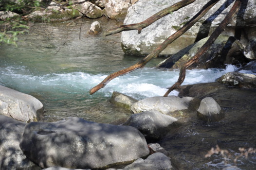 print a poster - River - Tennessee_2009_152_3.jpg