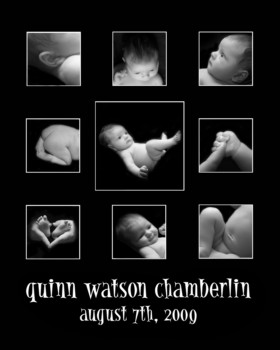 print a poster - Quinn Watson Chamberlin - Quinn_Parts_16x20.jpg