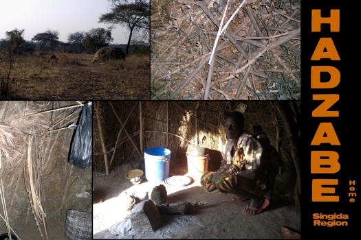 print a poster - Hadzabe Bushmen - HazabeInteriorHome2.jpg