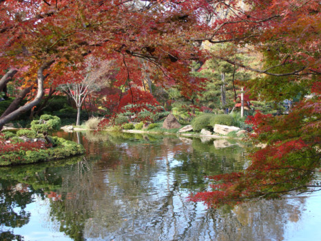 blow photo up - River - JapaneseGarden.jpg