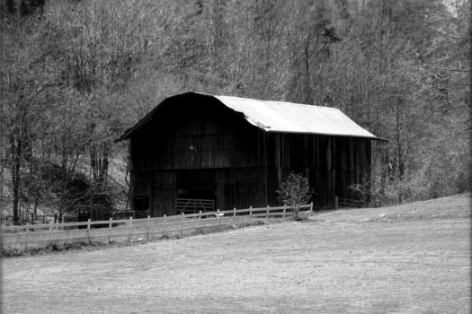 poster - White - barn_1758_bw.jpg