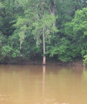 poster size photos - Muddy River - MB_May_033A.jpg