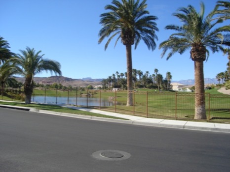 print a poster - Palm Trees By The Road - golfcourse6.jpg